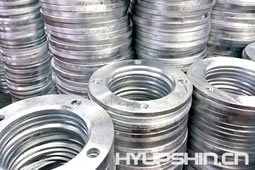 Backing Ring Flanges Hot Galvanize Jinan HyupShin Flanges Co., Ltd